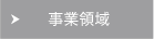 事業領域